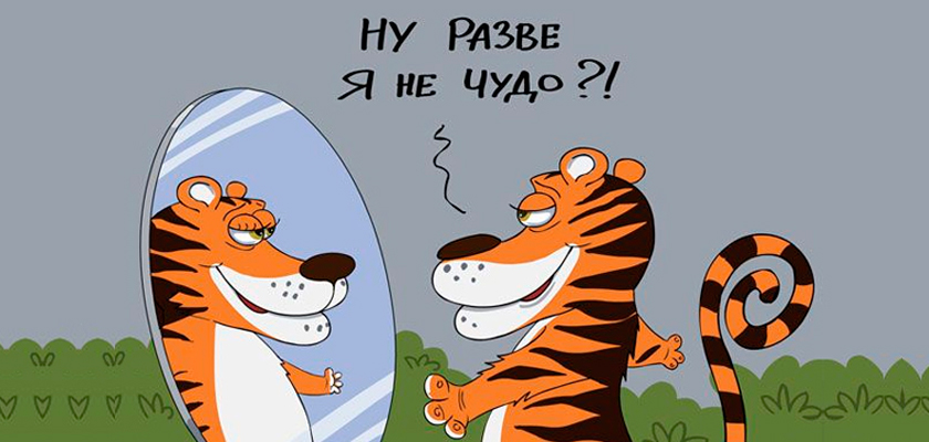 Ну разве я не чудо?